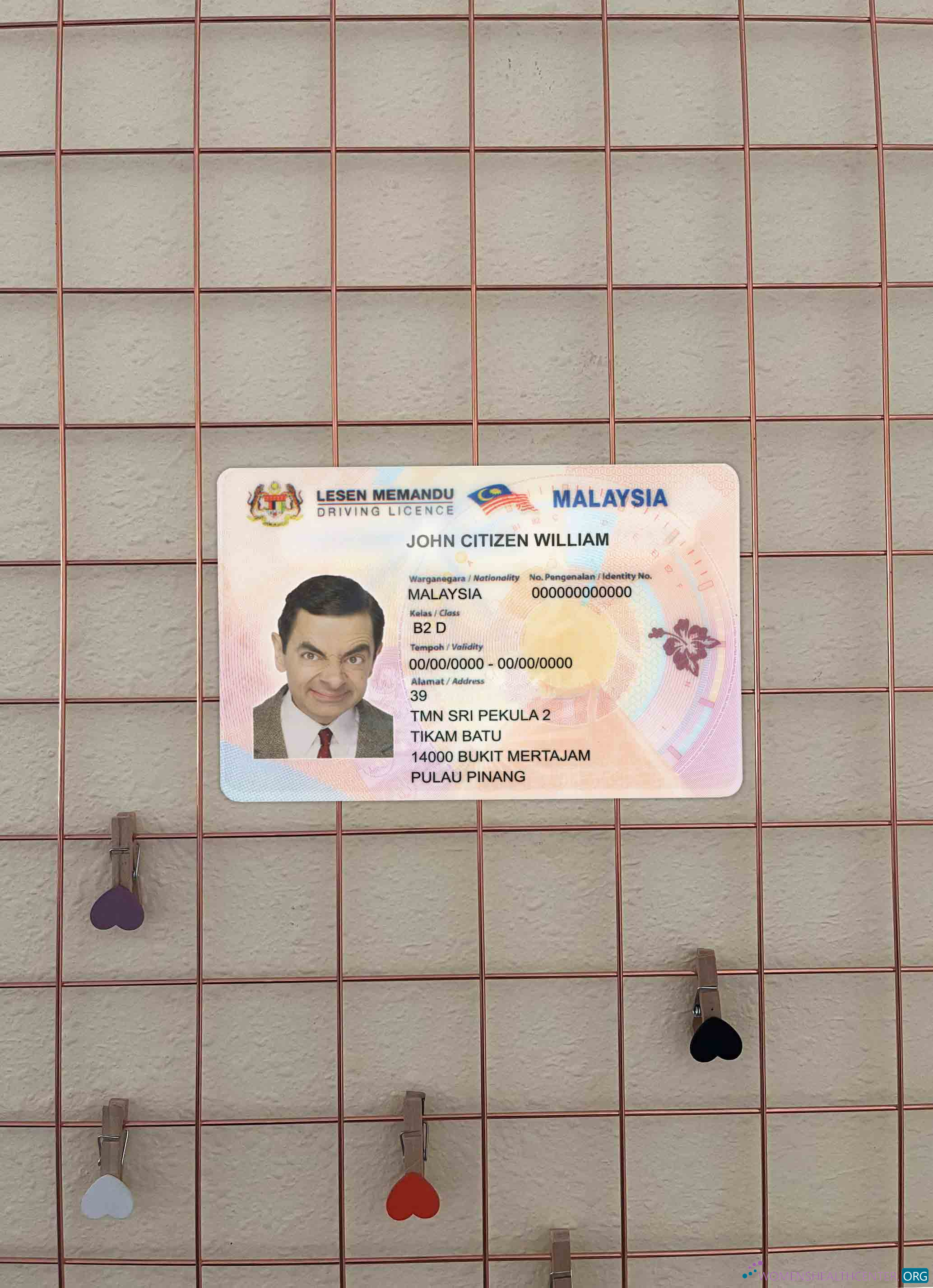 Download Malaysia DL photolook FRONT Photoshop template